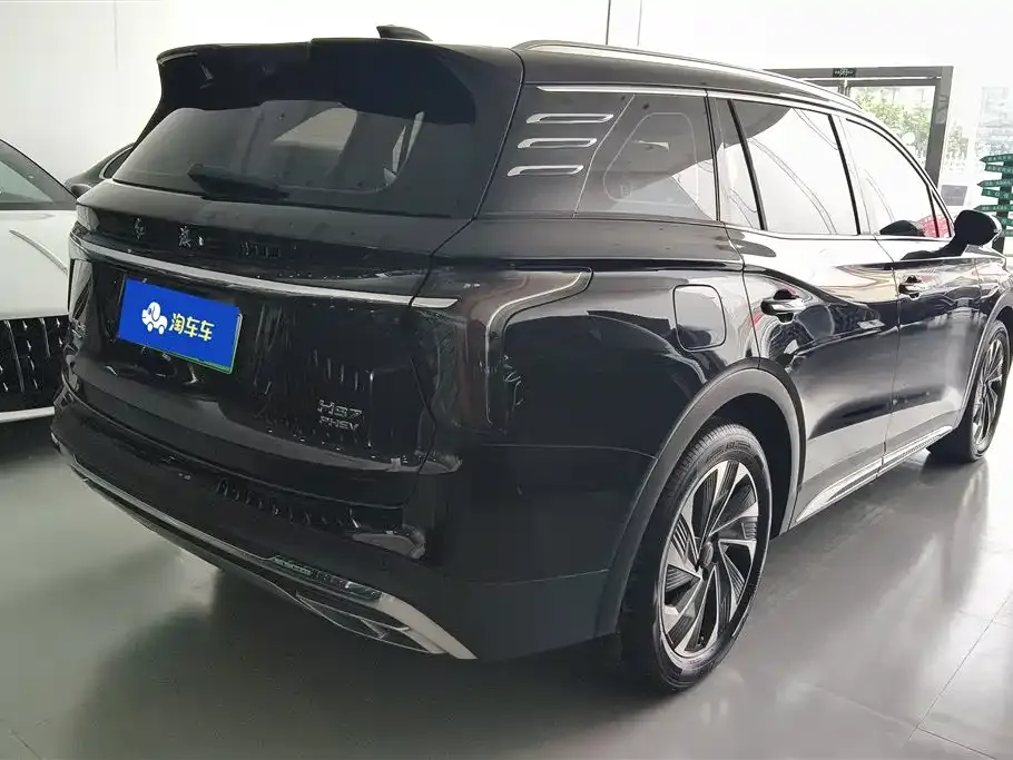 Hongqi HS7 PHEV 2024 из CN, фото 4