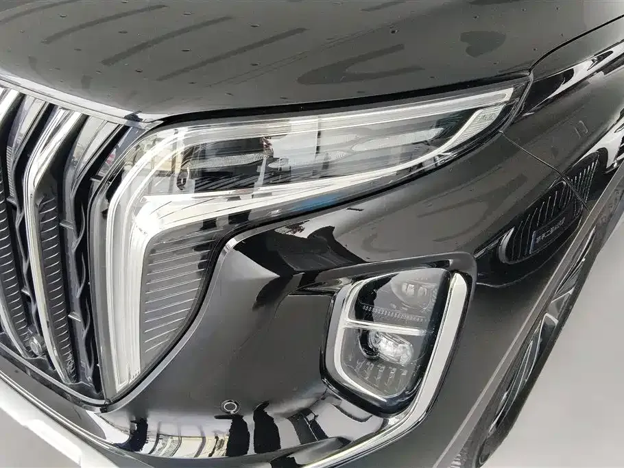 Hongqi HS7 PHEV 2024 из CN, фото 6