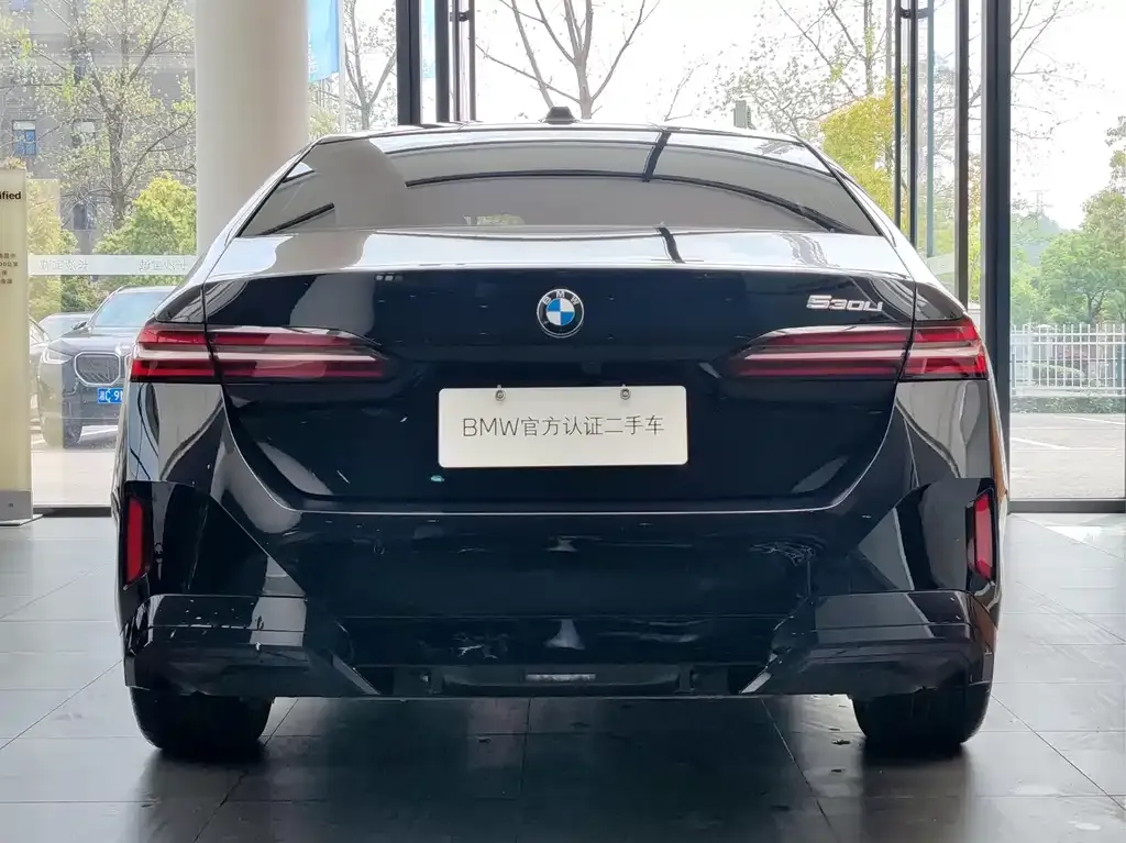 BMW 5 Series 2025 из CN, фото 10