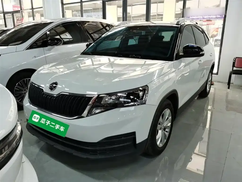 Skoda Kamiq 2024 из CN, фото 8