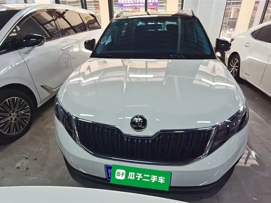 Skoda Kamiq 2024 из CN, фото 6