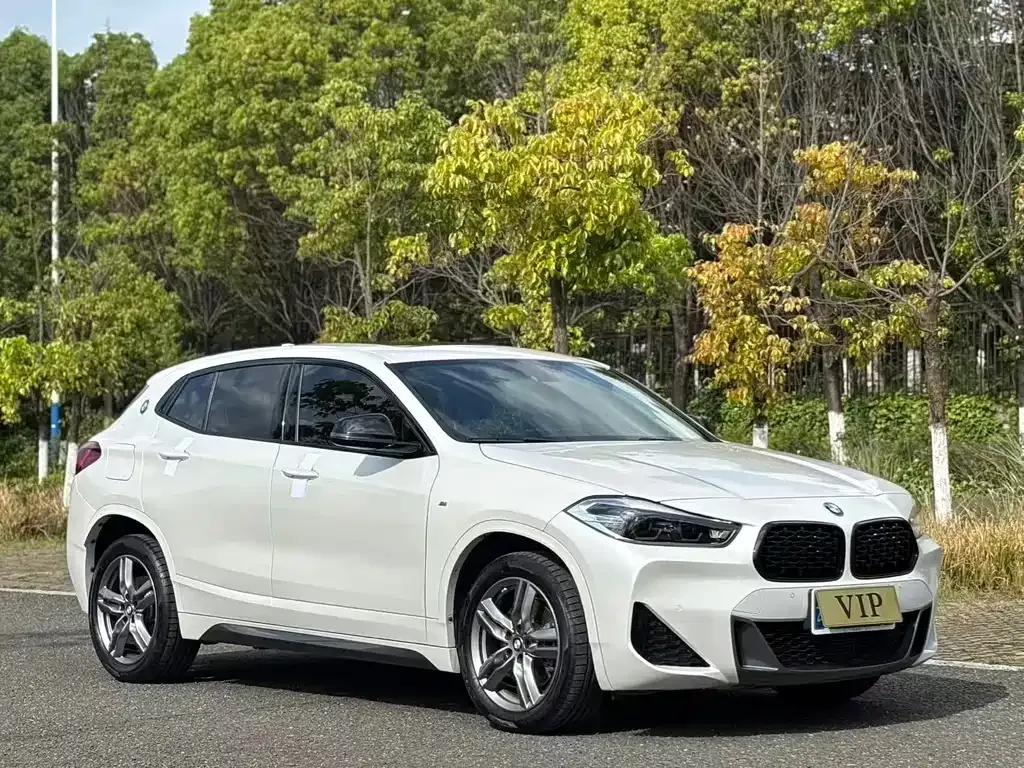BMW X2 2023 из CN, фото 8