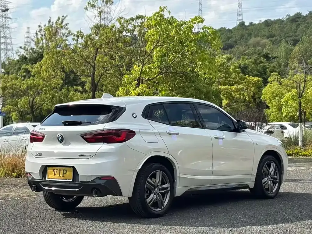 BMW X2 2023 из CN, фото 10