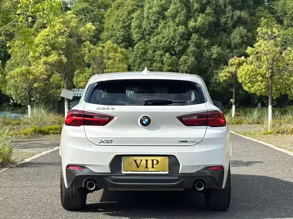 BMW X2 2023 из CN, фото 7