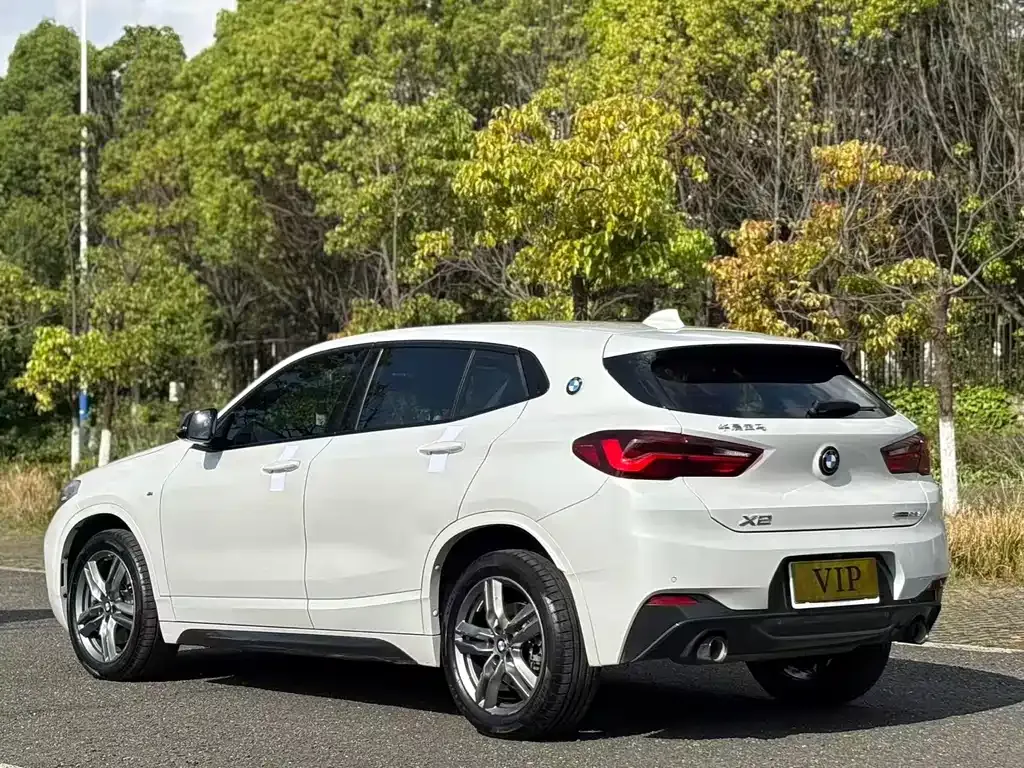 BMW X2 2023 из CN, фото 6