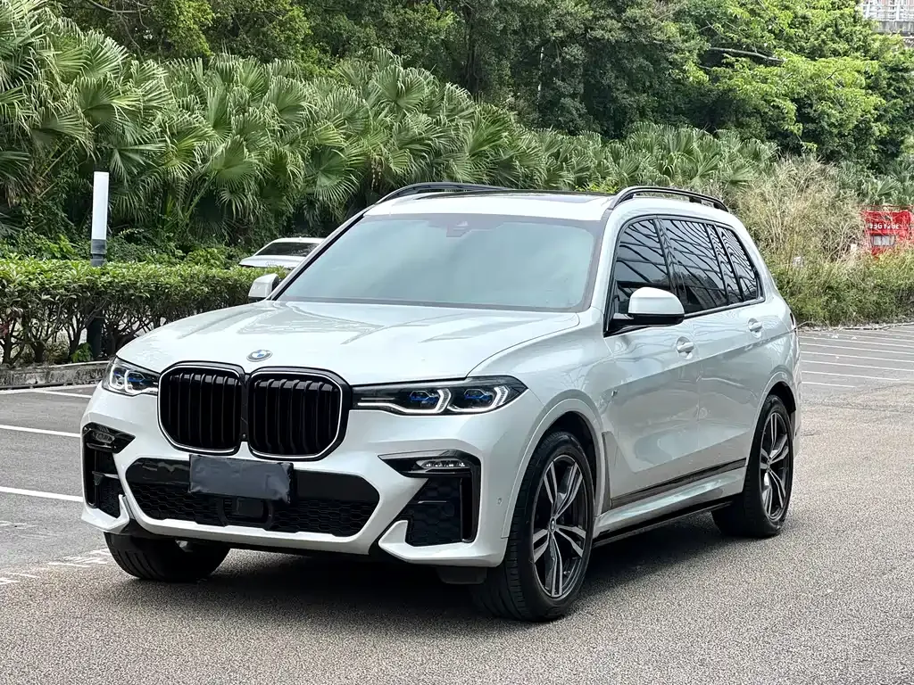 BMW X7 — фото 1