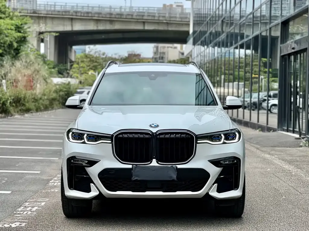 BMW X7 — фото 6