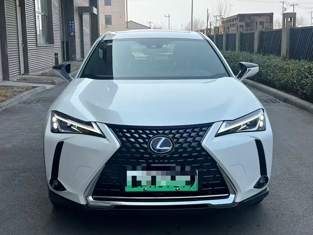 Lexus UX New Energy 2022 из CN, фото 5