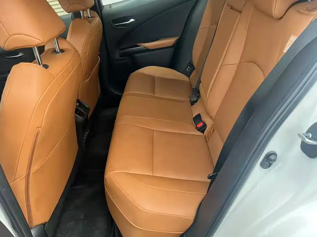 Lexus UX New Energy 2022 из CN, фото 3