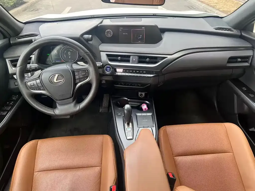 Lexus UX New Energy 2022 из CN, фото 7