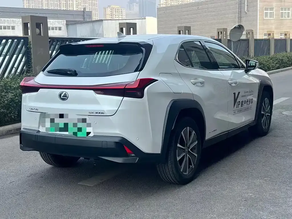 Lexus UX New Energy 2022 из CN, фото 9