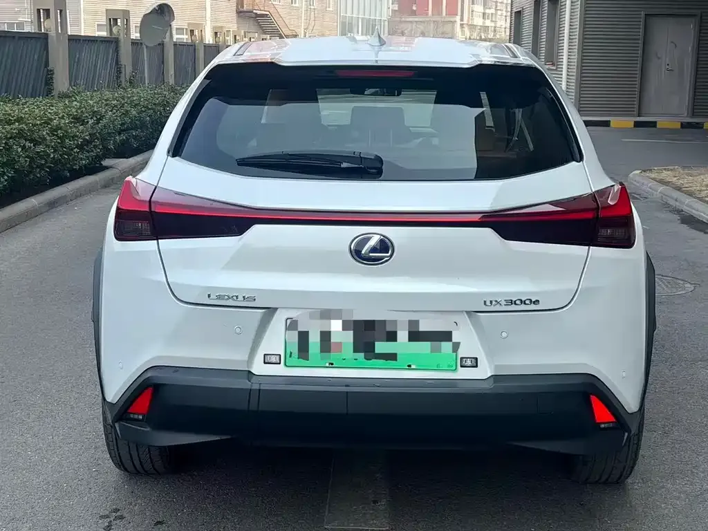 Lexus UX New Energy 2022 из CN, фото 4