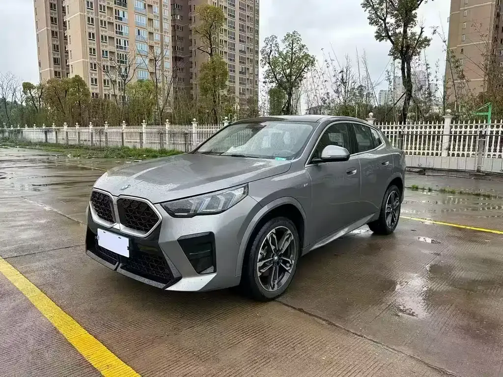 BMW X2 (Import) — фото 1