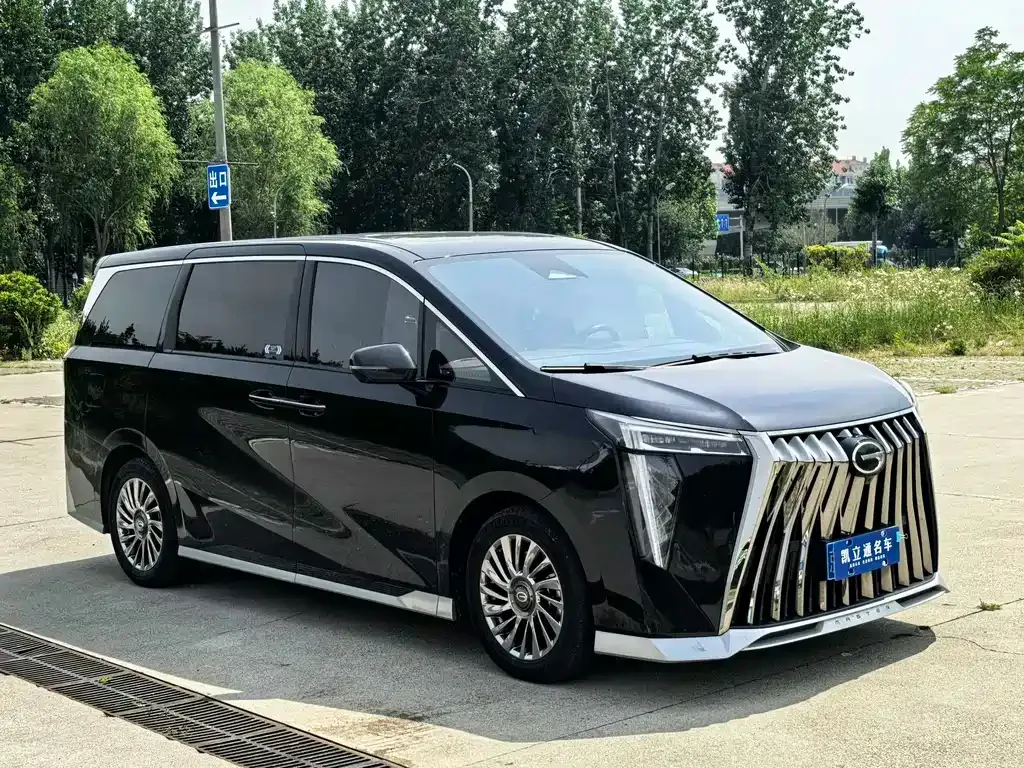 GAC Motor Trumpchi M8 2024 из CN, фото 10
