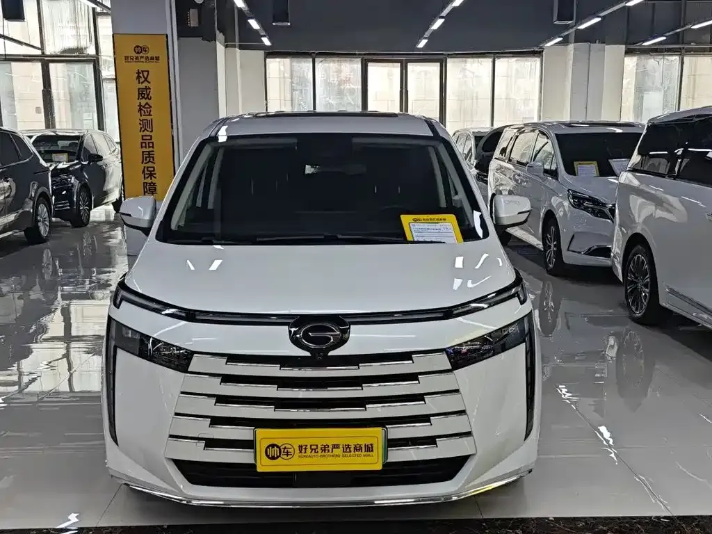 GAC Motor E8 Hybrid 2023 из CN, фото 6