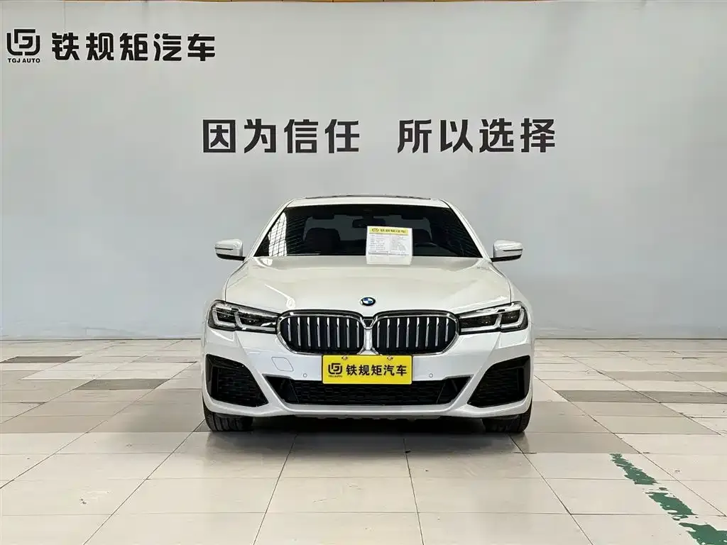 BMW 5 Series 2023 из CN, фото 6