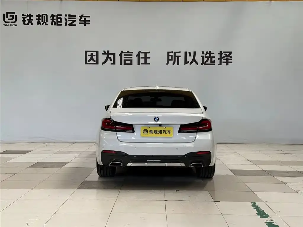 BMW 5 Series 2023 из CN, фото 3