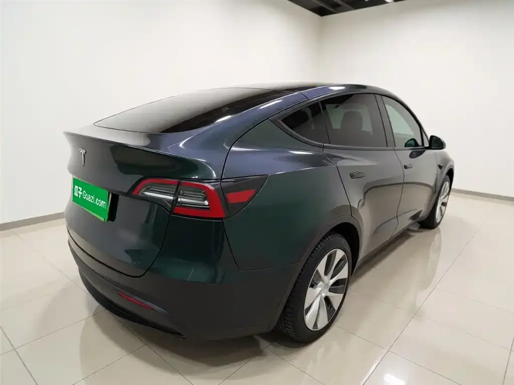 Tesla Model Y — фото 10