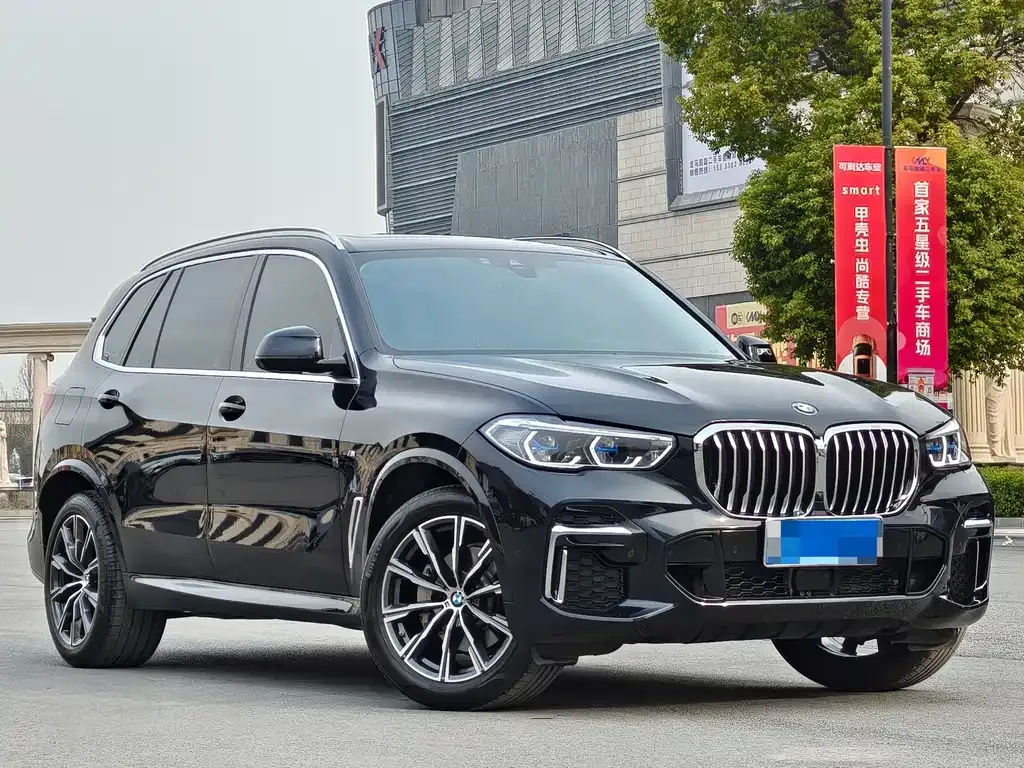 BMW X5 — фото 10
