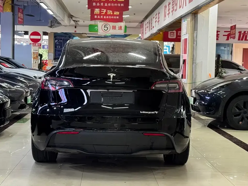 Tesla Model Y 2023 из CN, фото 6