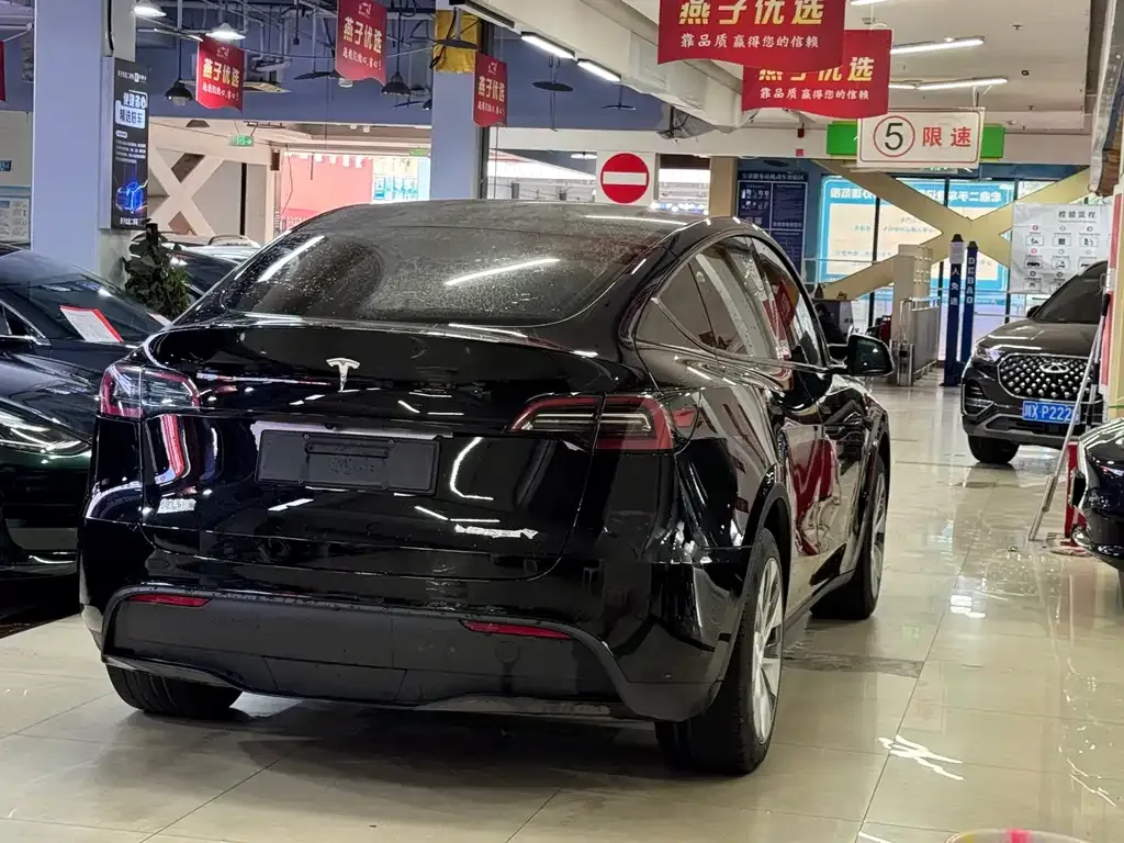 Tesla Model Y 2023 из CN, фото 8