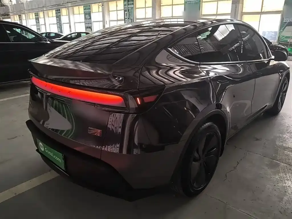 Tesla Model Y — фото 9