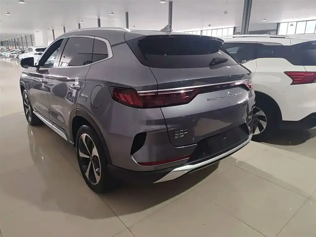 BYD PLUS New Energy — фото 4