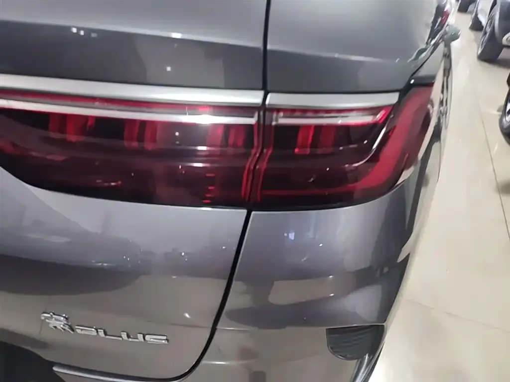 BYD PLUS New Energy — фото 2