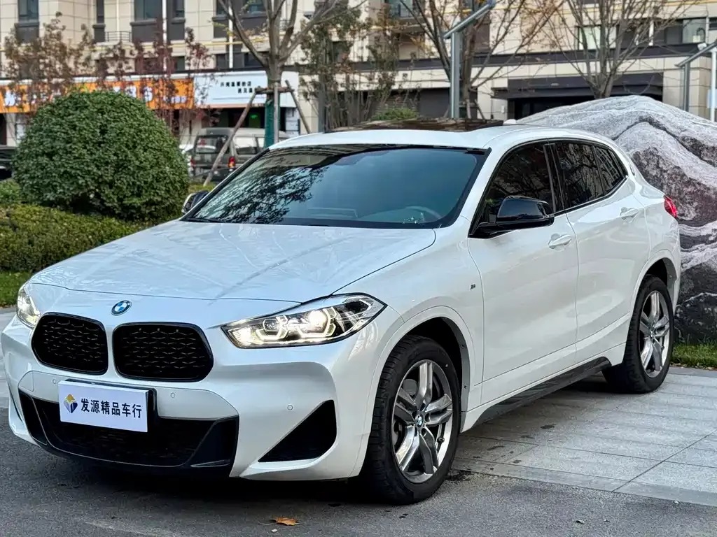 BMW X2 — фото 1