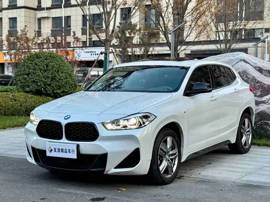 BMW X2 — фото 8