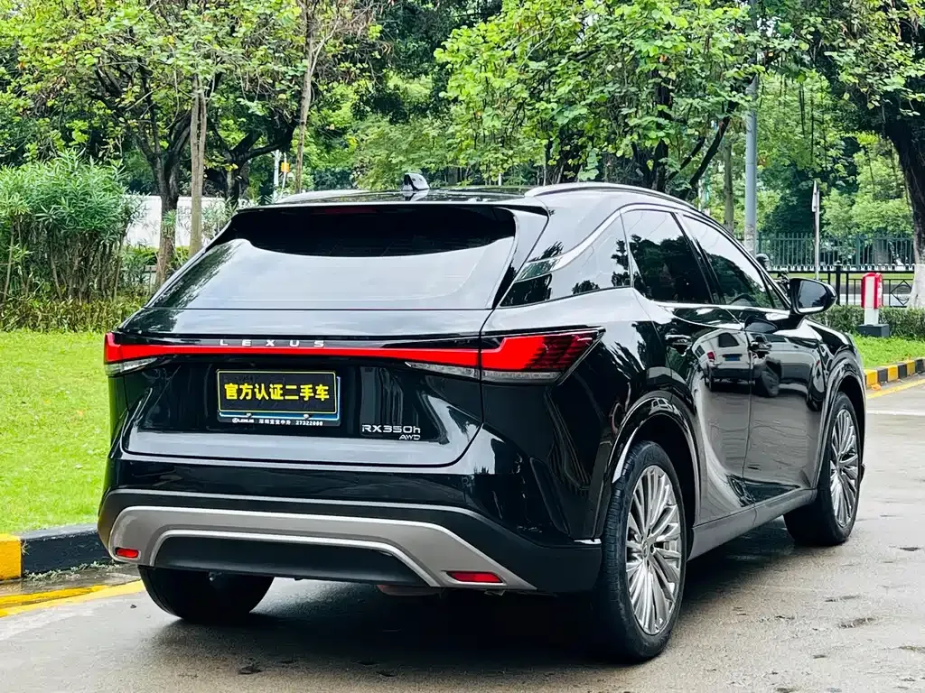 Lexus RX — фото 6