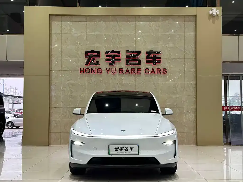 Tesla Model Y — фото 10
