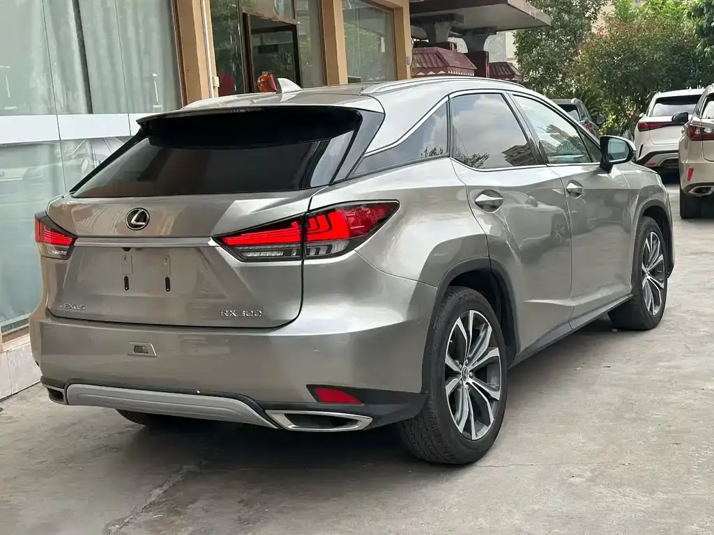 Lexus RX 2021 из CN, фото 9