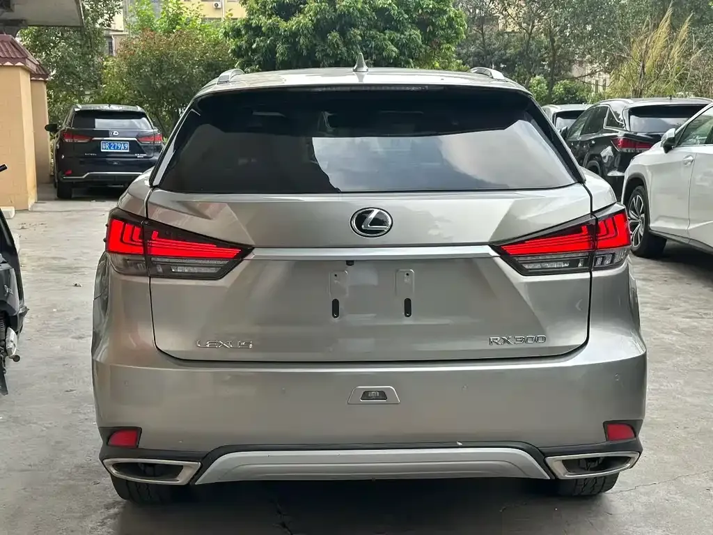 Lexus RX 2021 из CN, фото 5