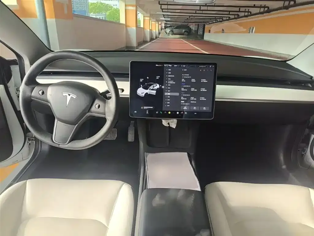 Tesla Model 3 2021 из CN, фото 2