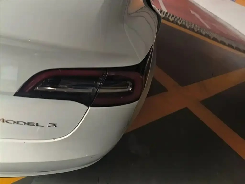 Tesla Model 3 2021 из CN, фото 5