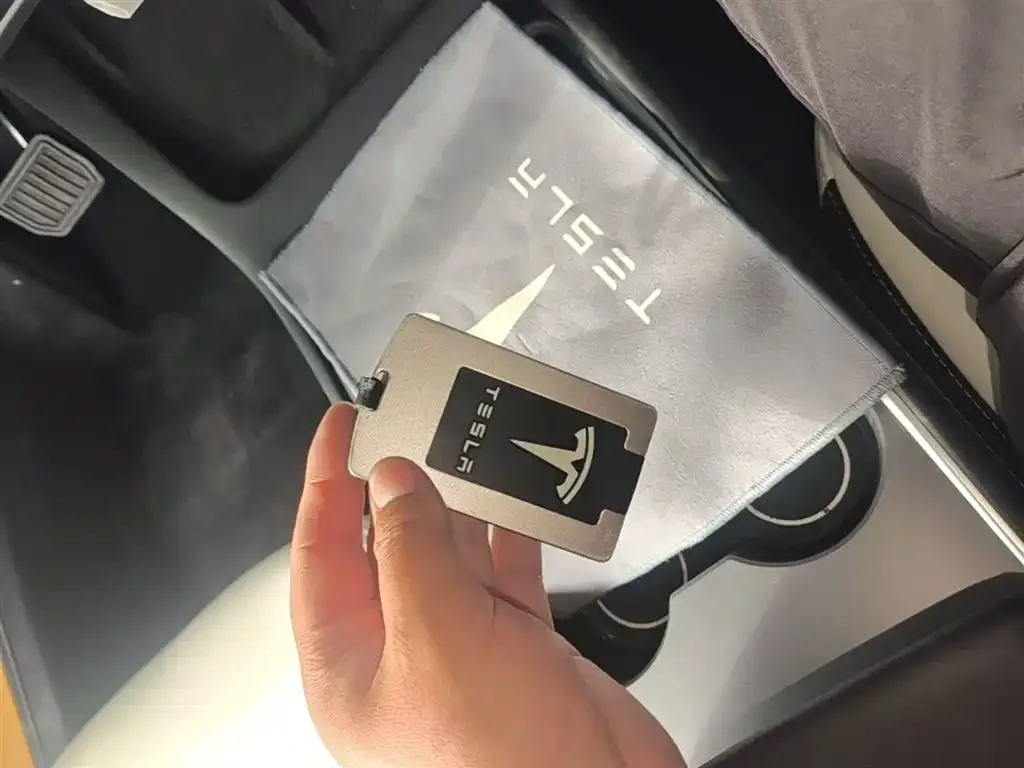 Tesla Model 3 2021 из CN, фото 9
