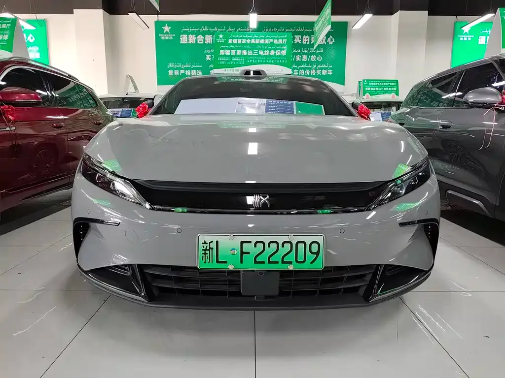 BYD Han — фото 10