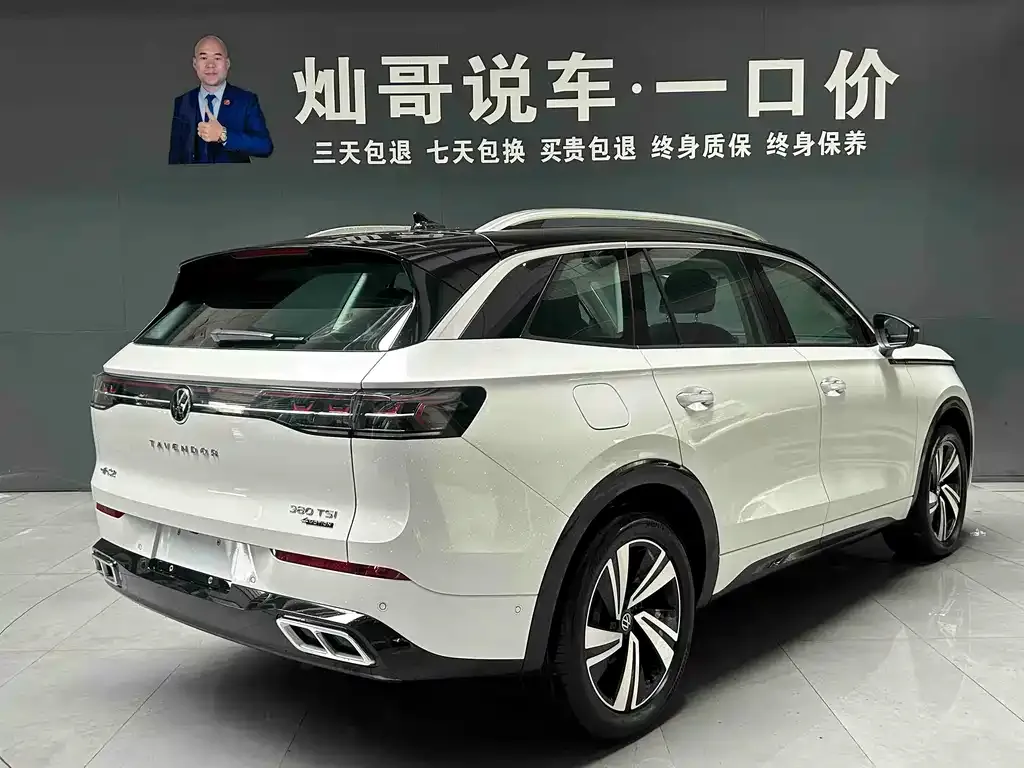Volkswagen Tavendor 2023 из CN, фото 4