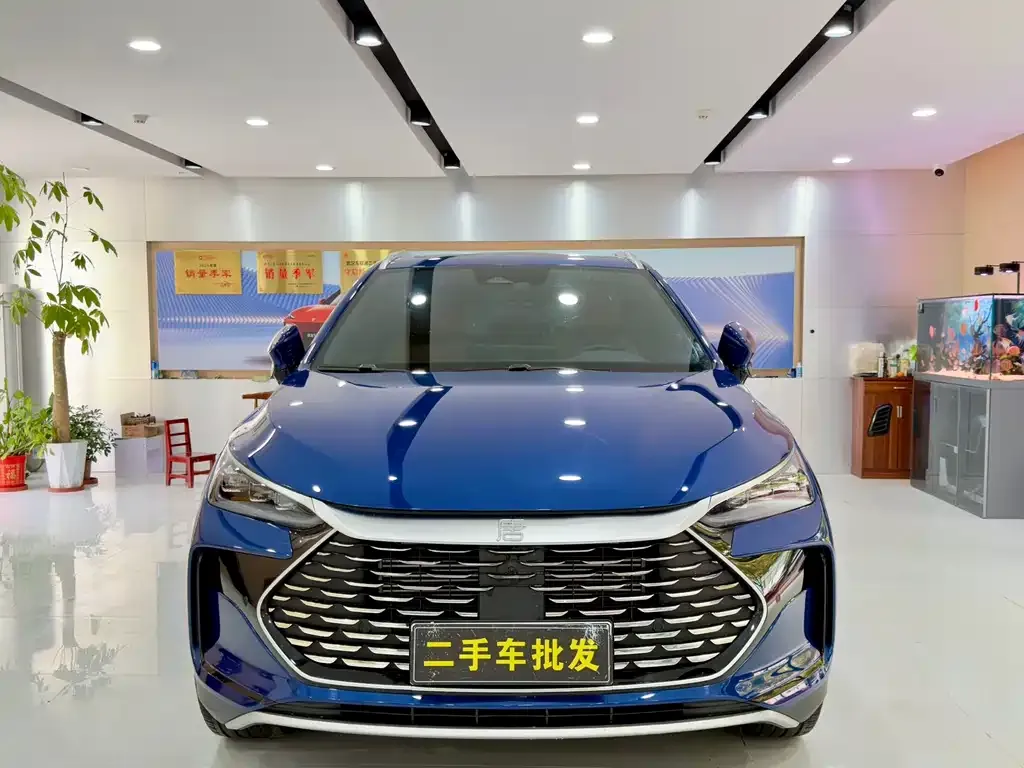 BYD Tang New Energy — фото 8