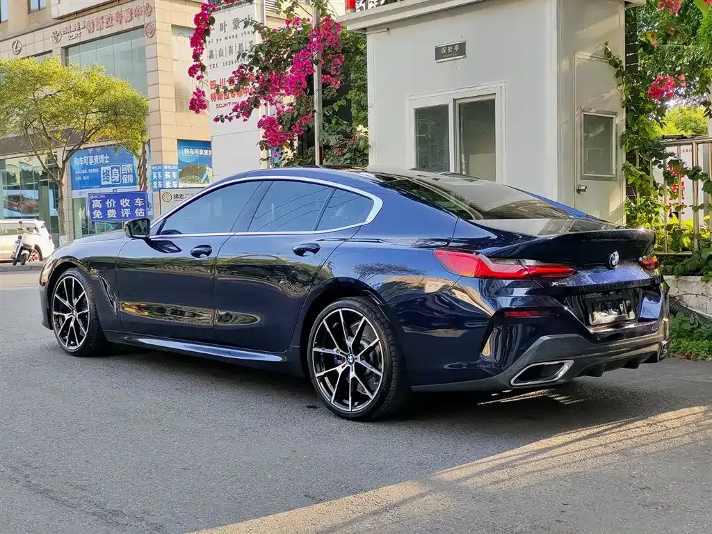 BMW 8 Series 2023 из CN, фото 8
