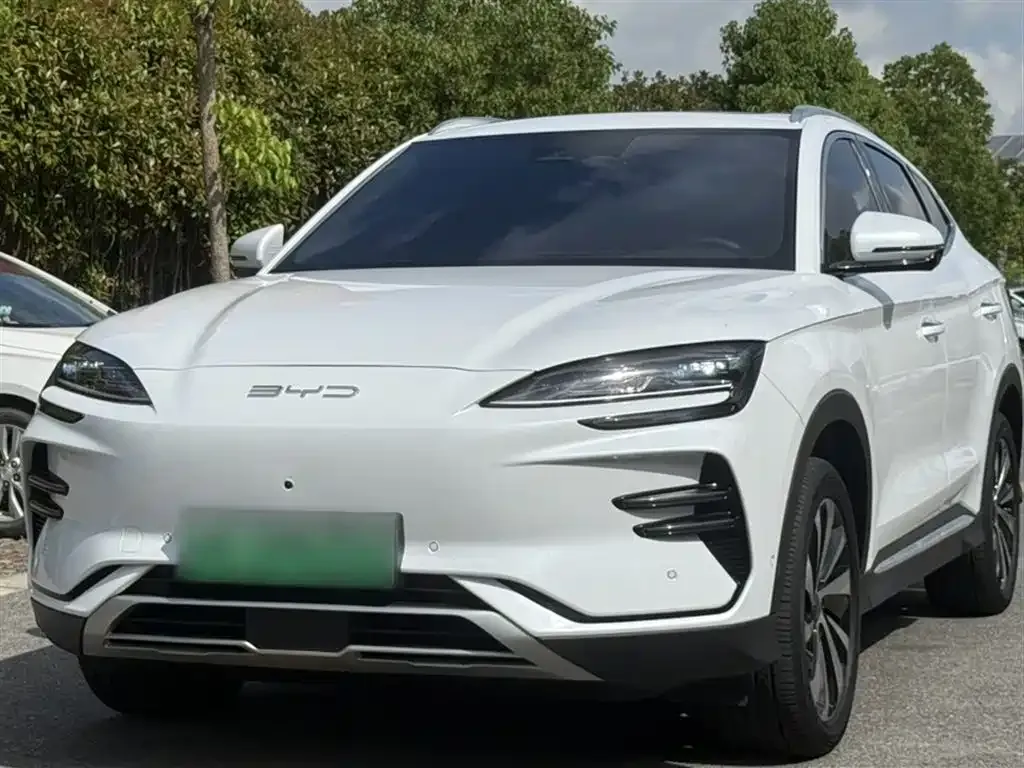 BYD PLUS New Energy — фото 1