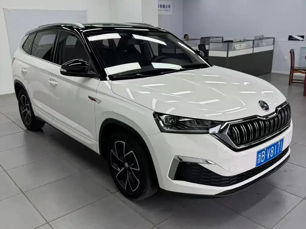 Skoda Kamiq 2022 из CN, фото 8