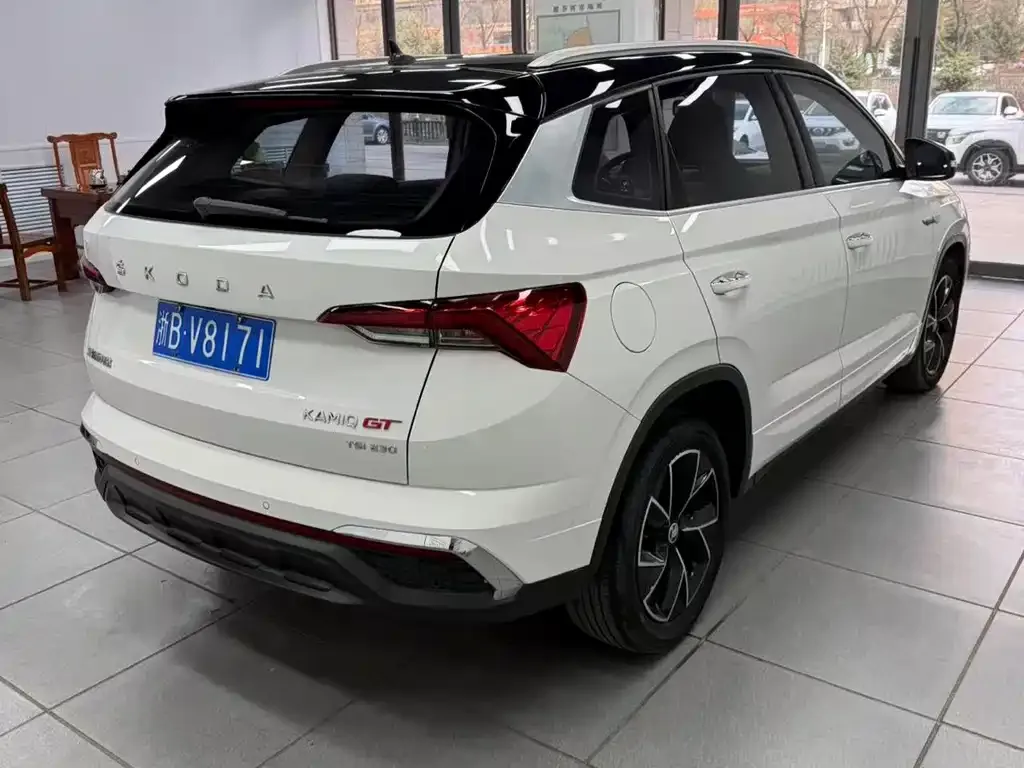 Skoda Kamiq 2022 из CN, фото 6