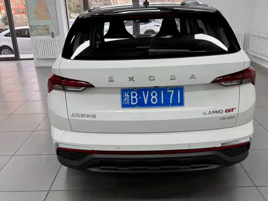 Skoda Kamiq 2022 из CN, фото 7