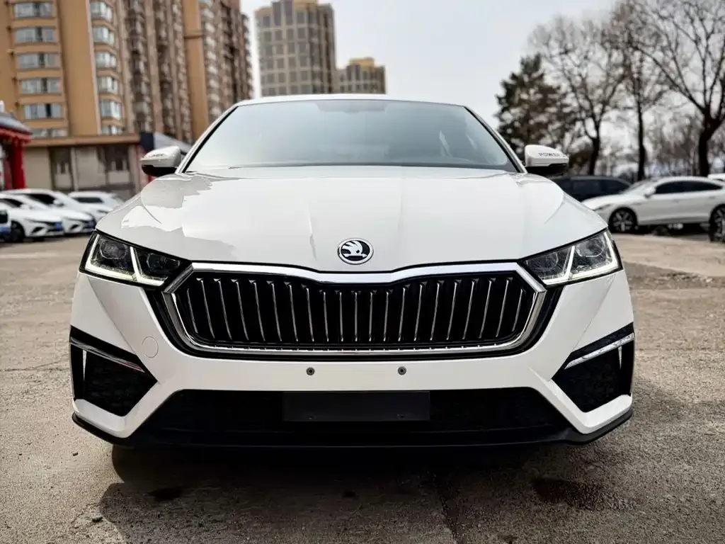 Skoda Octavia 2022 из CN, фото 2