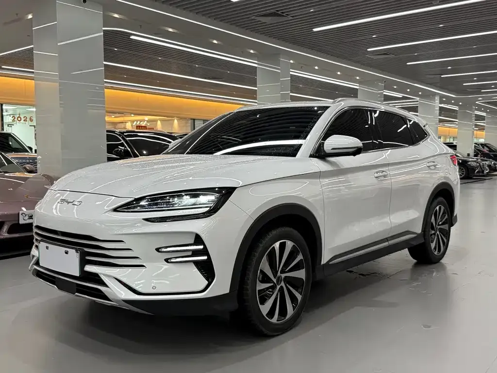 BYD PLUS New Energy — фото 1