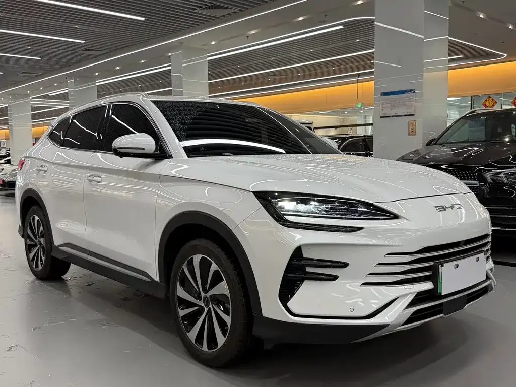 BYD PLUS New Energy — фото 6