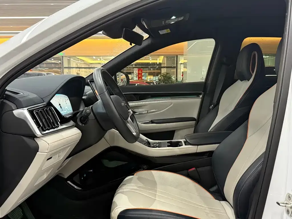 BYD PLUS New Energy — фото 10