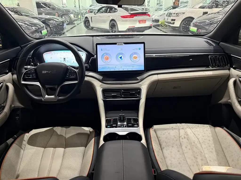 BYD PLUS New Energy — фото 3
